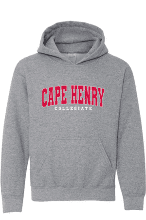 Gildan Heavy Blend Hoodie Gray unisex