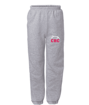 Cape Henry Youth Sweatpants in Gray