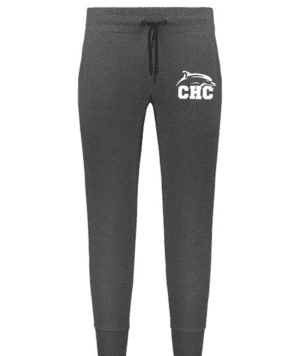 Holloway Eco Revive Women's Ventura Soft Knit Joggers in Dark Gray