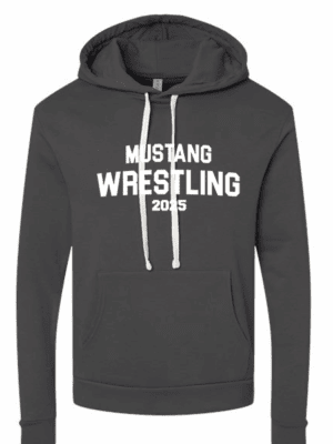 Hope Wrestling Santa Cruz Hoodie in Charcoal Gray